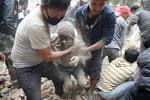 Over 1,000 people died after the powerful earthquake hit Nepal.
