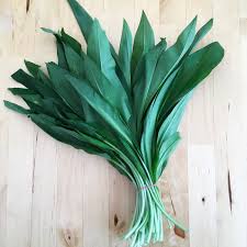 Image result for Bärlauch