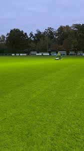 Image result for Cockfosters Football Club