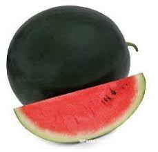 Attēlu rezultāti vaicājumam “Citrullus lanatus”