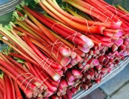 Attēlu rezultāti vaicājumam “Rheum rhabarbarum fruit”
