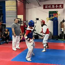 Image result for Ashford School Of Taekwondo