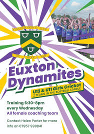 Image result for Euxton Cricket Club