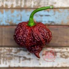 Afbeeldingsresultaat voor 7 pot hot pepper