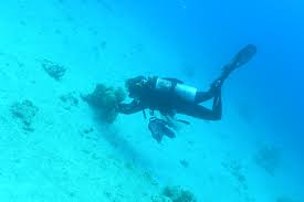 Image result for TAL Divers