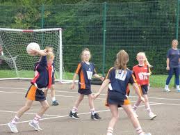 Image result for Hertford Hornets Netball Club