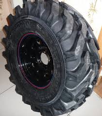 Картинки по запросу белку зажевало в диск