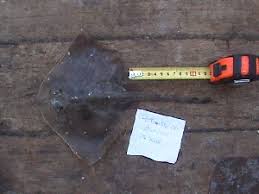 Image result for Raja straeleni