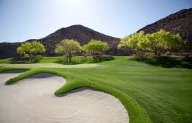 Image result for South Holderness Gc