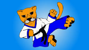 Image result for Chichester Tae Kwon Do