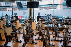 Image result for Angmering School Of Gym
