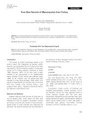 Attēlu rezultāti vaicājumam “Didymium xanthopus spores”