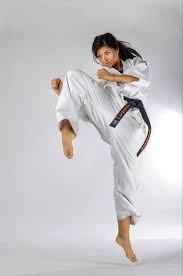 Image result for Kyokushin Karate