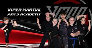 Image result for Vipers Thai/Kickboxing School