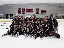 Image result for City Of Portsmouth Hockey Club