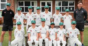 Image result for Redlynch and Hale Cricket Club