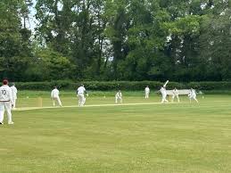 Image result for Leatherhead & Cobham Cc