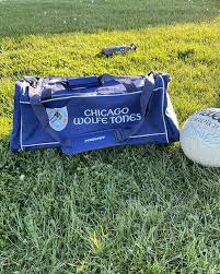 Image result for Wolfe Tones Gaelic Athletic Club