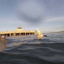 Image result for Southend handball club