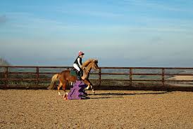 Image result for Winchester Riding Club