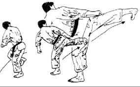 Image result for Jodan Karate