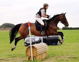 Image result for Porlock Vale Riding School