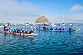 Image result for Bay Dragons CC