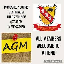 Image result for Moycarkey-Borris Gaa Club