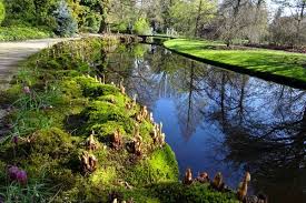 Image result for Arboretum Trompenburg