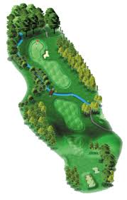 Image result for Romanby Golf Course