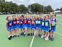 Image result for Wombles Netball Club