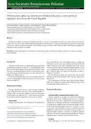 Attēlu rezultāti vaicājumam “Orthotrichum affine var. affine”