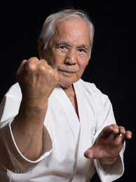 Image result for Uechi-Ryu Karate Do, Hedge End