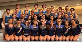 Image result for Jayenell Gymnastics Club