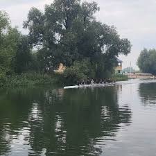 Image result for Isle Of Ely Rowing Club