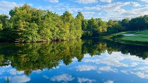 Image result for Dorchester Bowling Club