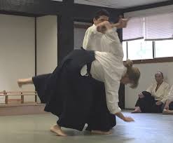 Image result for Aikido - Shobu UK (Newton in furness)