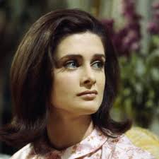 Attēlu rezultāti vaicājumam “Diderma effusum young”