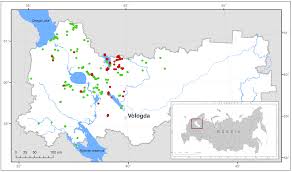 Attēlu rezultāti vaicājumam “Harpanthus flotovianus cells”