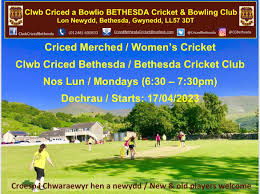 Image result for Clwb Criced A Bowlio Bethesda