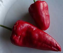 Afbeeldingsresultaat voor lipstick hot pepper