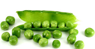 Image result for Erbsen