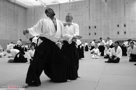 Image result for Fudokai Aikido Dojo