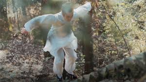 Image result for TRIANGLE CHANGQUAN FLYING DRAGON