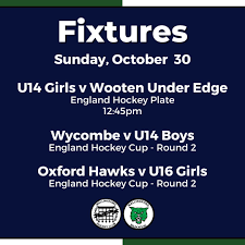 Image result for Wallingford Hockey Club