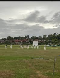 Image result for Hollingworth Cricket Club