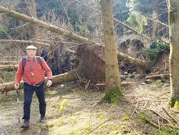 Image result for Harrogate Rambling Club