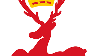 Image result for Finchley RFC