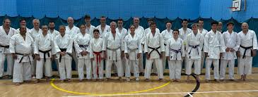 Image result for Caversham Karate Club SSKA