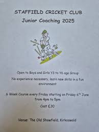 Image result for Runnymede Rascals Cricket Club